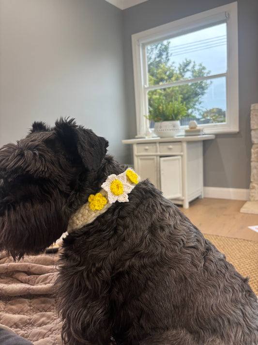 Crochet flower neck accessory