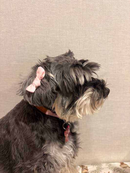 Pink knot bow clip