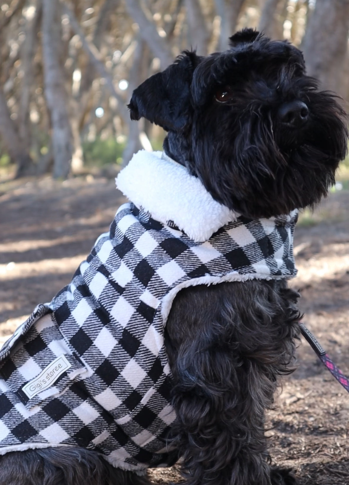 Black Winter Coat