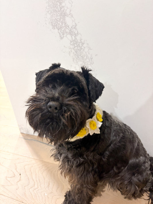 Crochet flower neck accessory