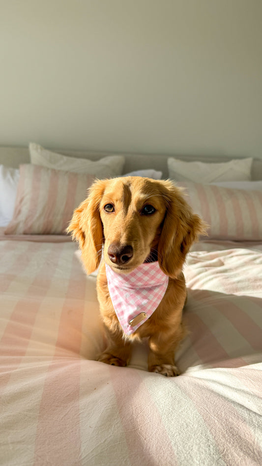 Pink gingham bandana