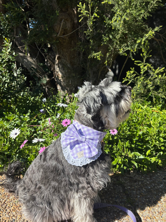 Lilac frill bow bandana