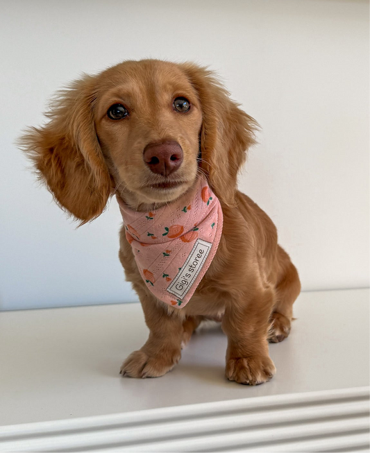 Peaches clip on bandana