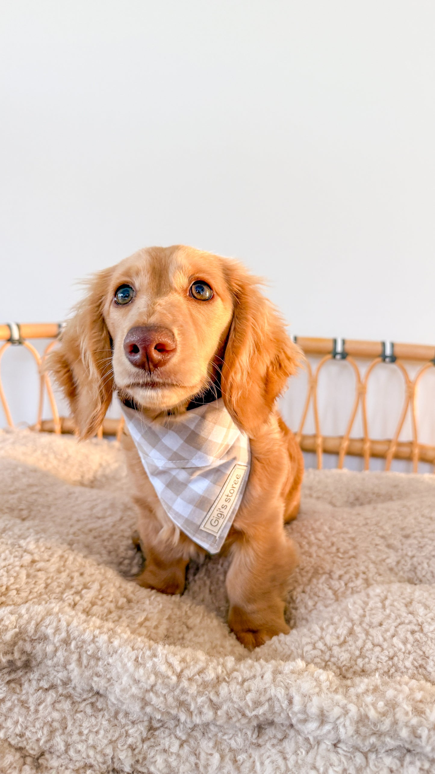 Beige gingham bandana