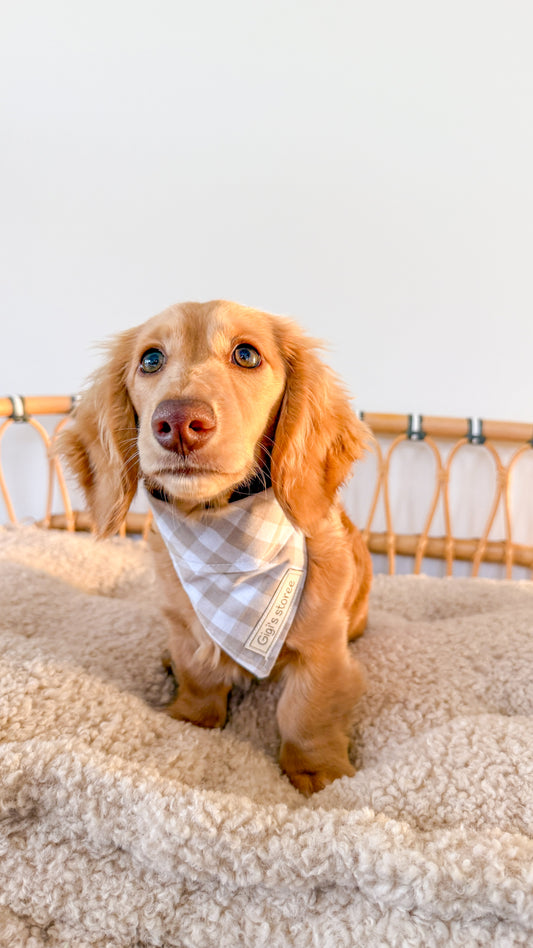 Beige gingham bandana