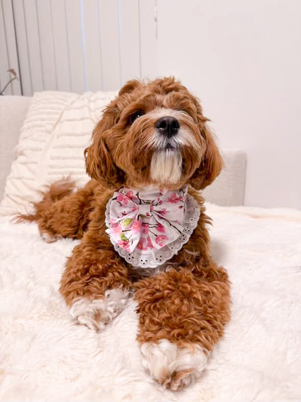 Blossom bandana