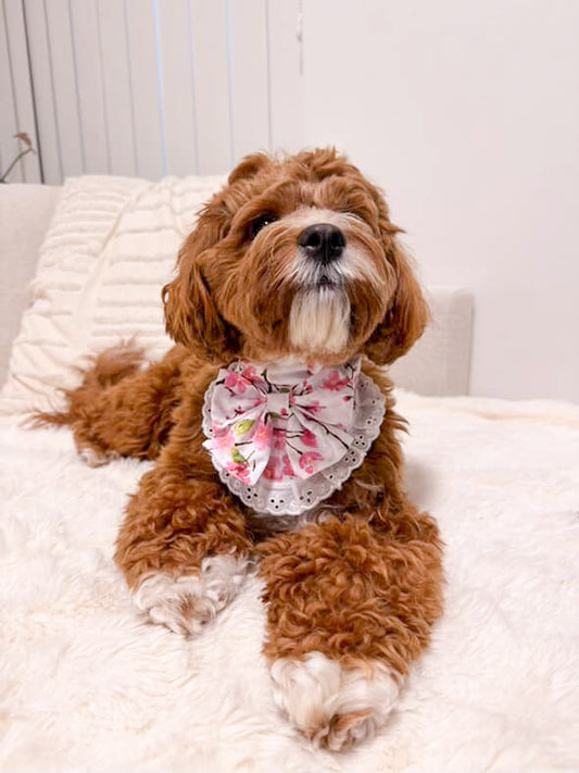 Blossom bandana