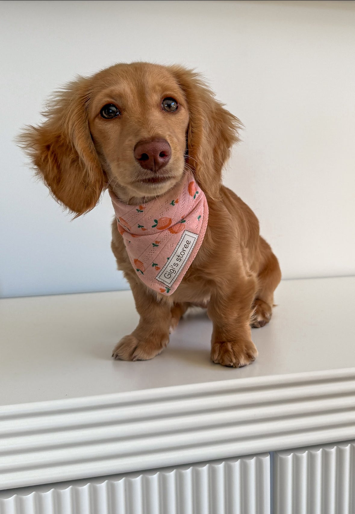 Peaches clip on bandana