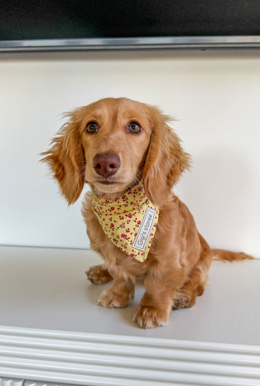 Yellow floral bandana