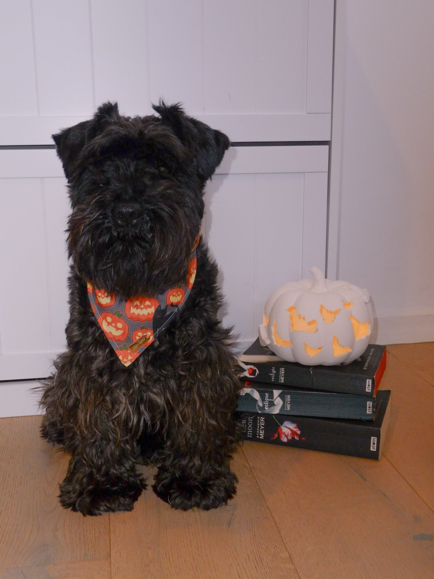 Halloween Bandana