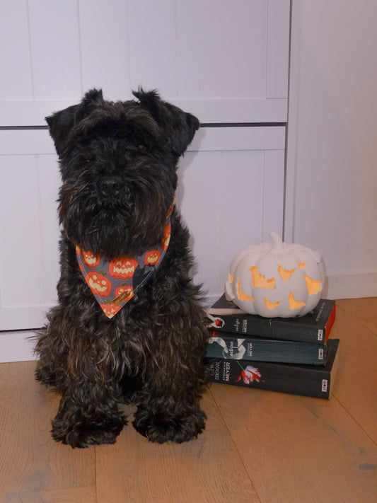 Halloween Bandana