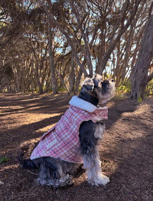 Pink Winter Coat