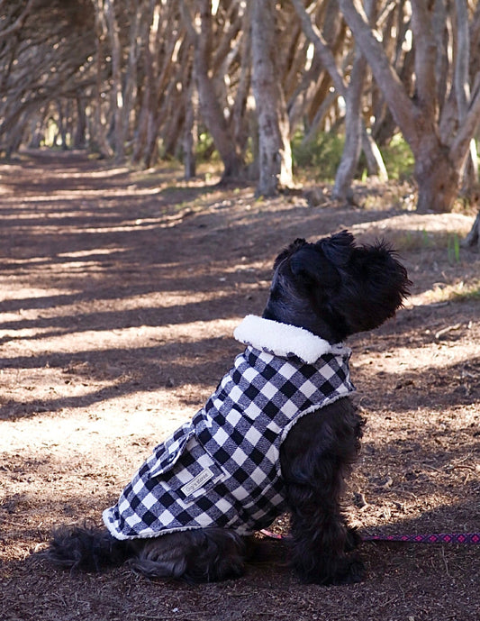 Black Winter Coat